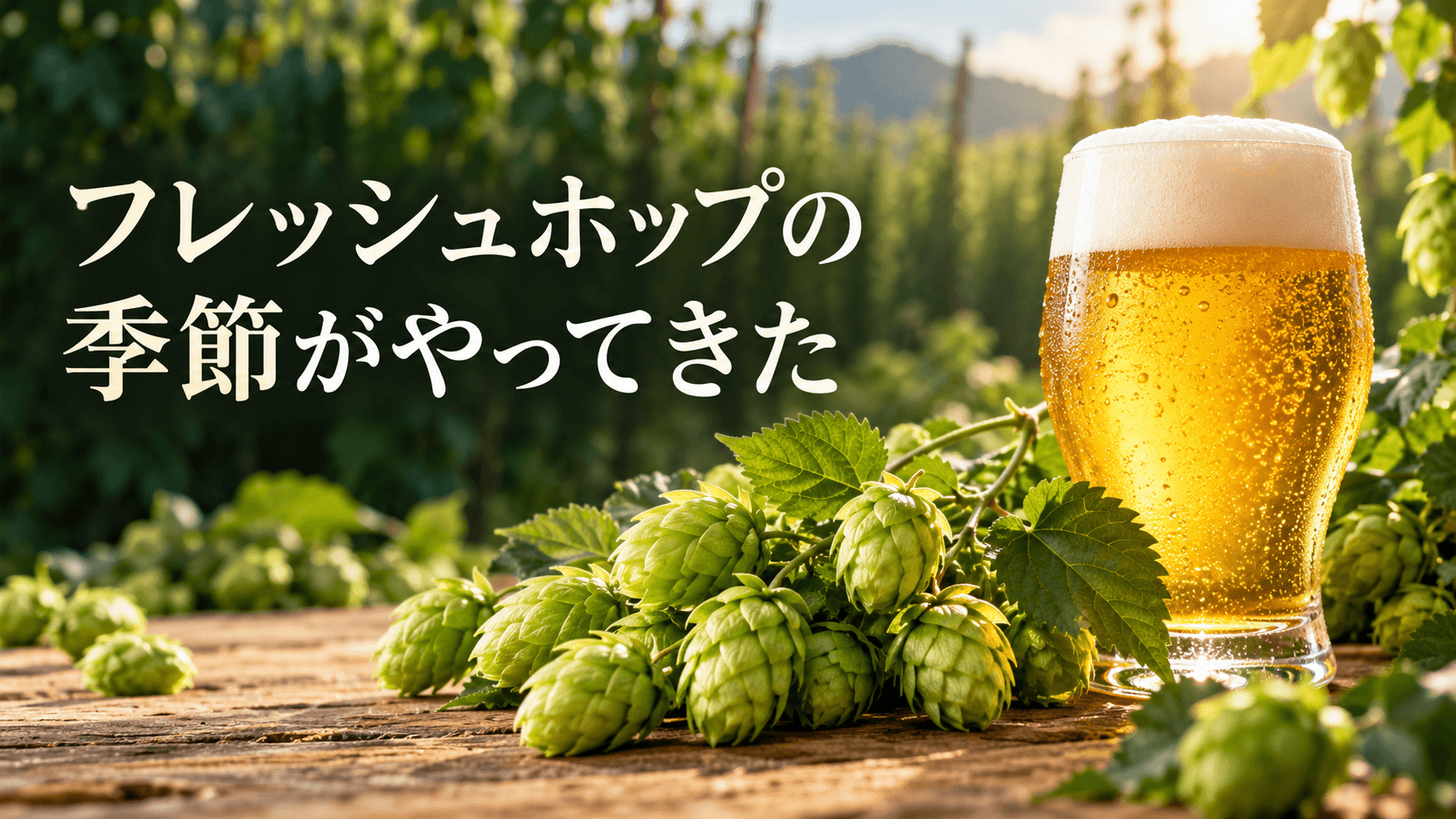 フレッシュホップの季節がやってきた